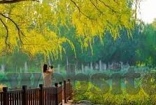 七月七日世界杯预测-七月七日世界杯预测,一场激情与策略的碰撞