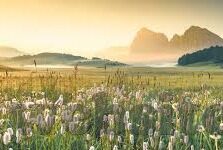 足球比分0.5球-探秘足球比分中的0.5球,规则、影响与策略解析